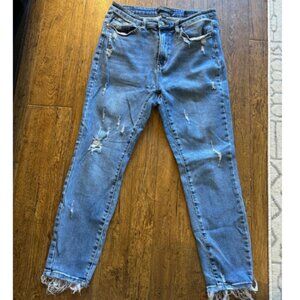 Women's Judy Blue Skinny Jeans